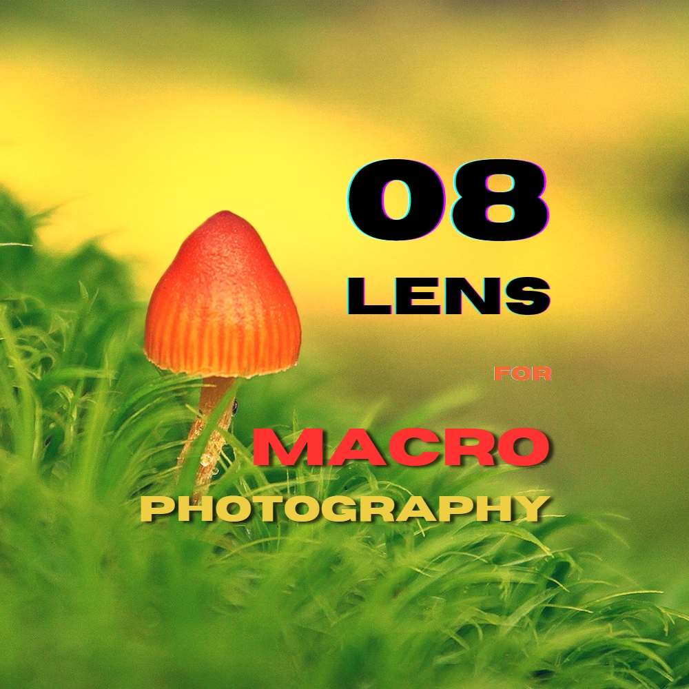 Best Lenses For Macro Photography 2023