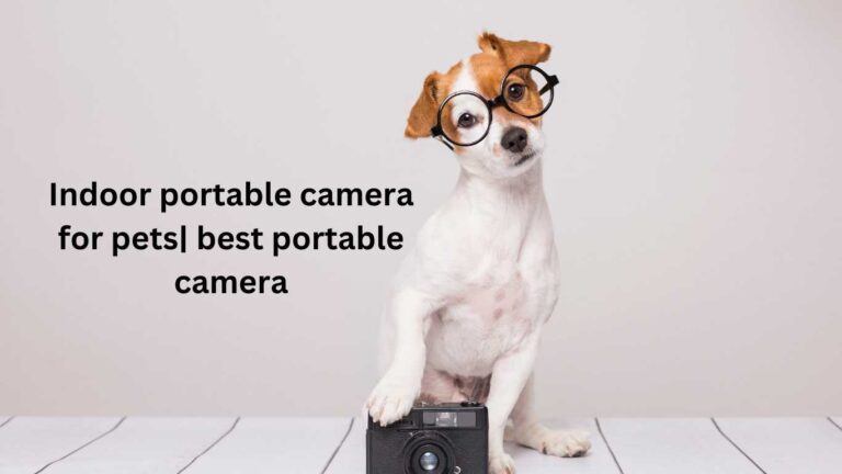 portable camera