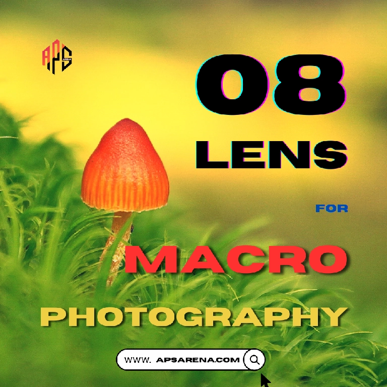 Best Lenses for Macro Photography