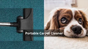 Portable Carpet Cleaner